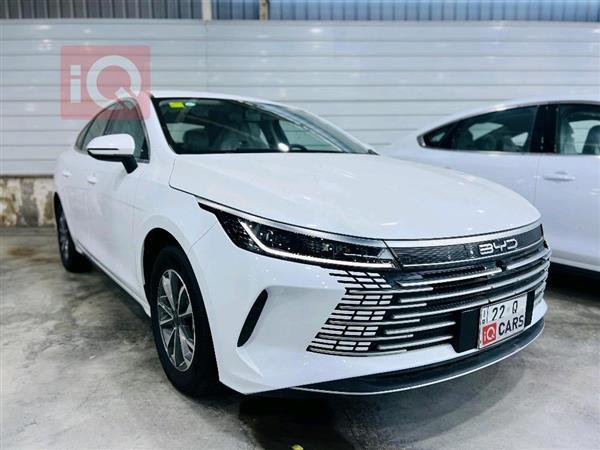 بي واي دي ديستروير 05 2025 للبيع في العراق - النجف